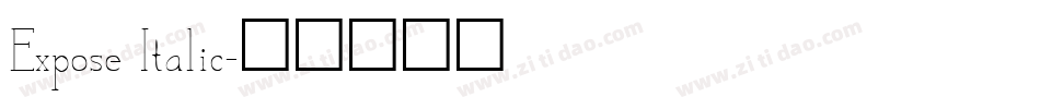 Expose Italic字体转换
